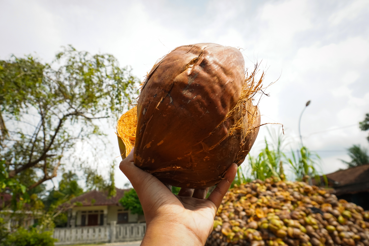 Dapur produksi Bhumi Kalapa